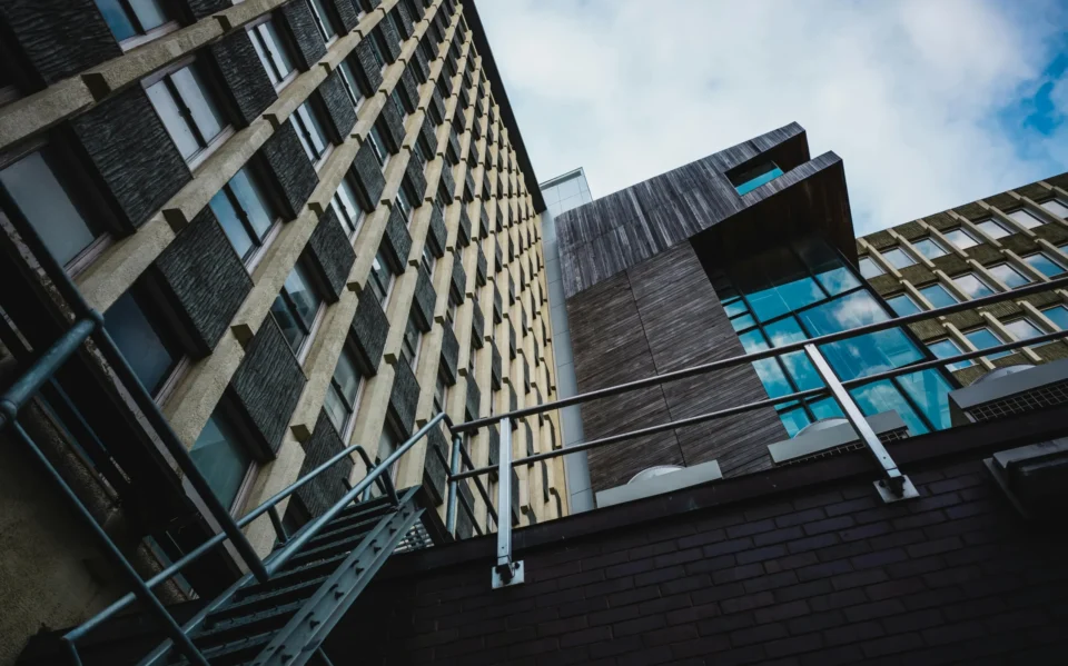 pexels-sonny-9946674